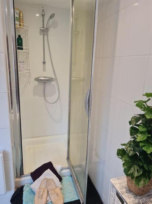 Modern Bungalow With Private Swimming Pool 梅登黑德 外观 照片